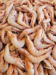 تصویر 4 از میگو مطاف صادراتی با تضمین کیفیت